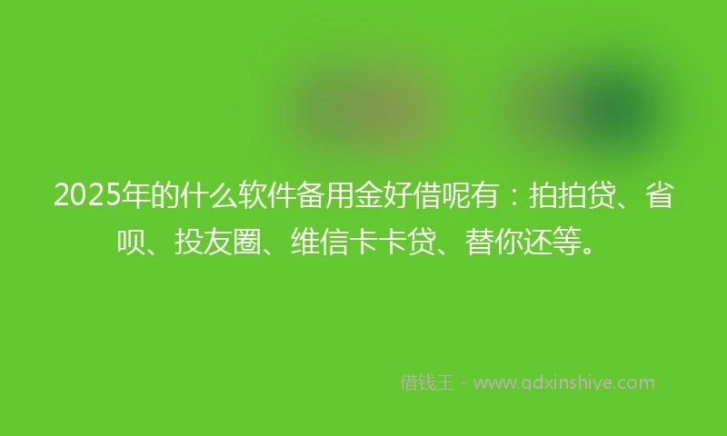 2025年的什么软件备用金好借呢有：拍拍贷、省呗、投友圈、维信卡卡贷、替你还等。