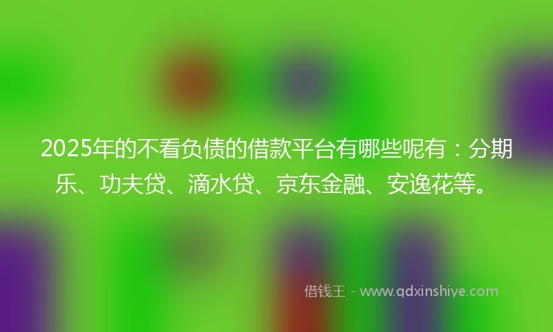 2025年的不看负债的借款平台有哪些呢有：分期乐、功夫贷、滴水贷、京东金融、安逸花等。