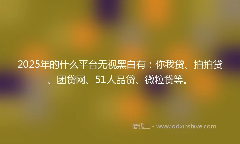 2025年的什么平台无视黑白有：你我贷、拍拍贷、团贷网、51人品贷、微粒贷等。