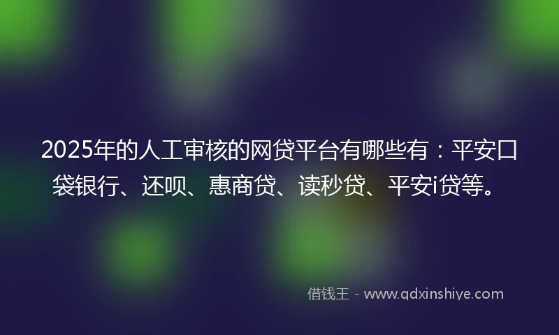 2025年的人工审核的网贷平台有哪些有：平安口袋银行、还呗、惠商贷、读秒贷、平安i贷等。