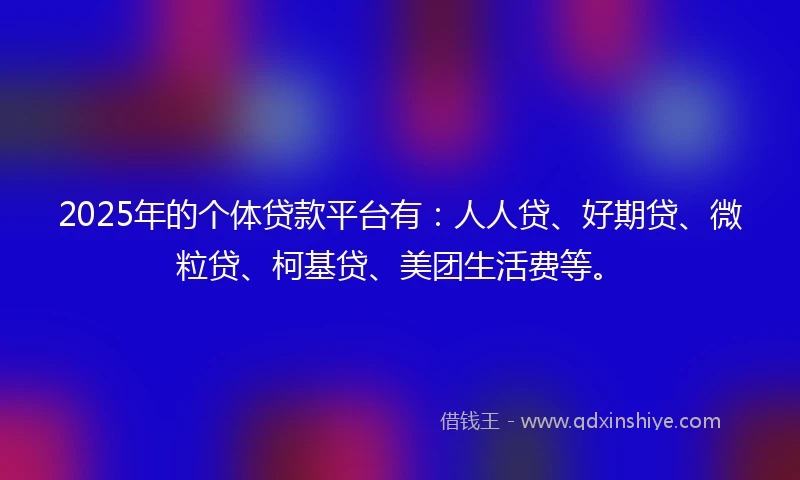 2025年的个体贷款平台有：人人贷、好期贷、微粒贷、柯基贷、美团生活费等。