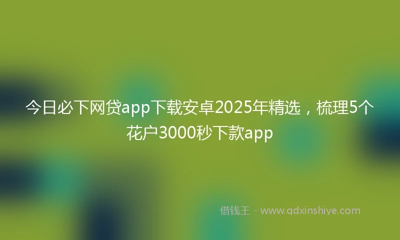 今日必下网贷app下载安卓2025年精选，梳理5个花户3000秒下款app