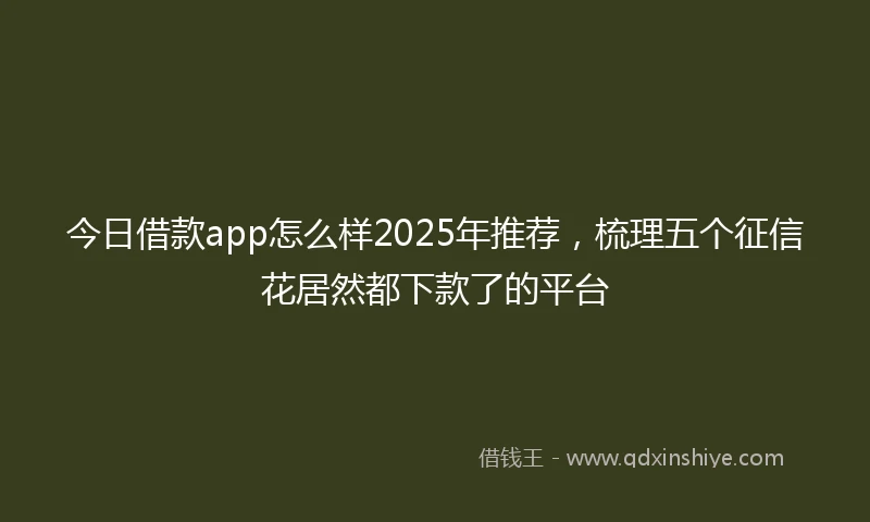 今日借款app怎么样2025年推荐，梳理五个征信花居然都下款了的平台