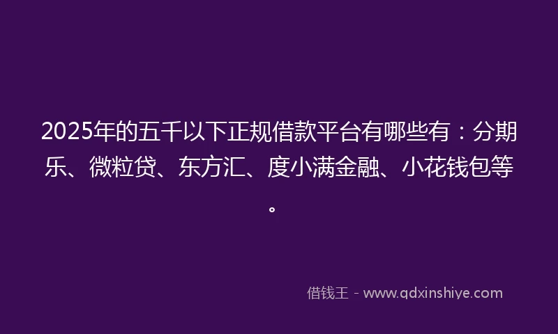 2025年的五千以下正规借款平台有哪些有：分期乐、微粒贷、东方汇、度小满金融、小花钱包等。