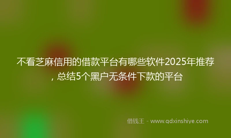 不看芝麻信用的借款平台有哪些软件2025年推荐，总结5个黑户无条件下款的平台