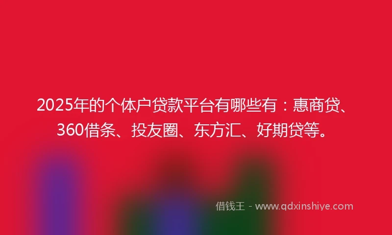 2025年的个体户贷款平台有哪些有：惠商贷、360借条、投友圈、东方汇、好期贷等。