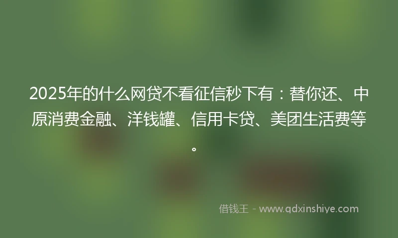 2025年的什么网贷不看征信秒下有：替你还、中原消费金融、洋钱罐、信用卡贷、美团生活费等。
