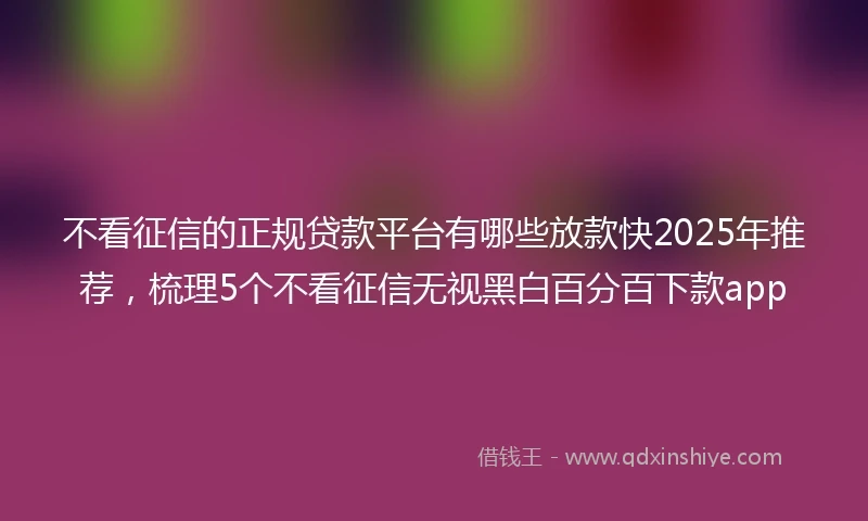 不看征信的正规贷款平台有哪些放款快2025年推荐，梳理5个不看征信无视黑白百分百下款app