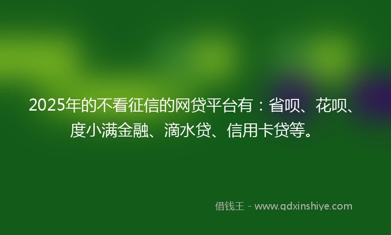 2025年的不看征信的网贷平台有：省呗、花呗、度小满金融、滴水贷、信用卡贷等。