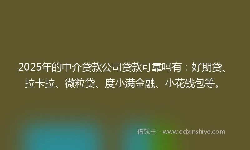 2025年的中介贷款公司贷款可靠吗有：好期贷、拉卡拉、微粒贷、度小满金融、小花钱包等。