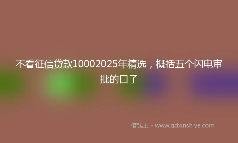 不看征信贷款10002025年精选，概括五个闪电审批的口子