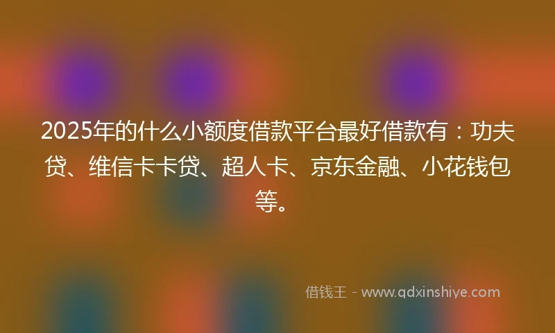 2025年的什么小额度借款平台最好借款有：功夫贷、维信卡卡贷、超人卡、京东金融、小花钱包等。