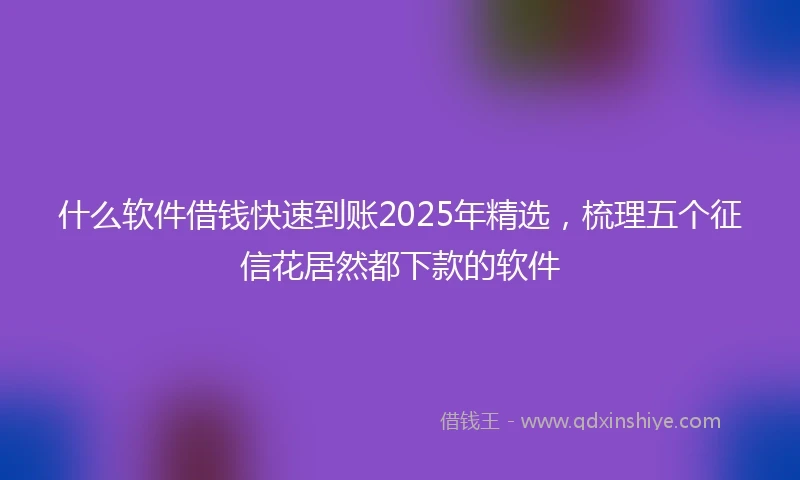什么软件借钱快速到账2025年精选，梳理五个征信花居然都下款的软件