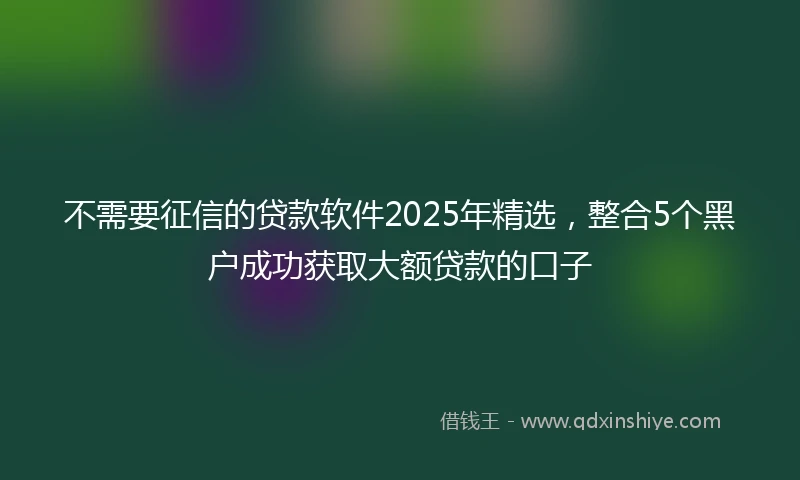 不需要征信的贷款软件2025年精选，整合5个黑户成功获取大额贷款的口子