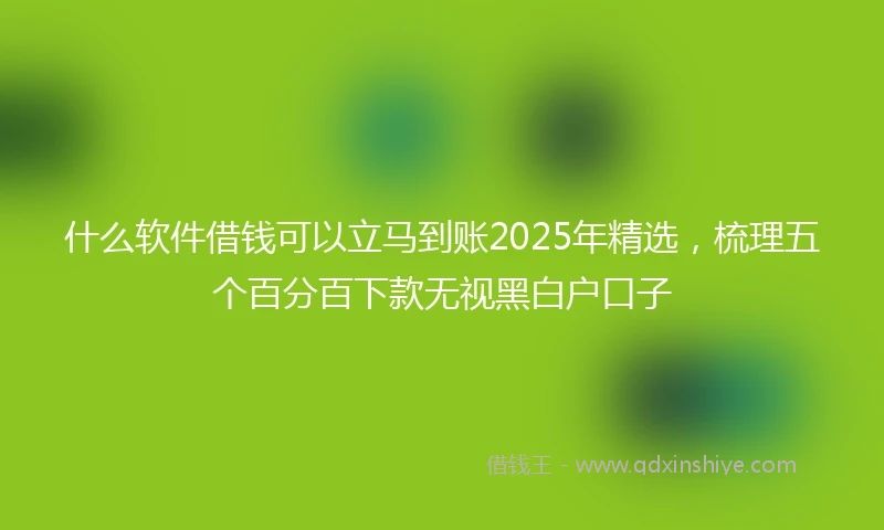 什么软件借钱可以立马到账2025年精选，梳理五个百分百下款无视黑白户口子