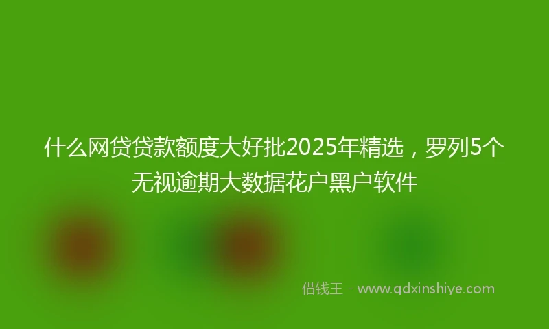 什么网贷贷款额度大好批2025年精选，罗列5个无视逾期大数据花户黑户软件