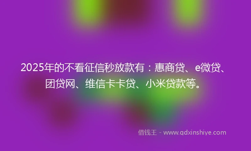 2025年的不看征信秒放款有：惠商贷、e微贷、团贷网、维信卡卡贷、小米贷款等。