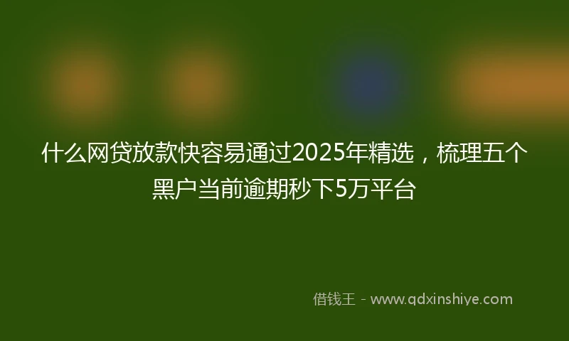 什么网贷放款快容易通过2025年精选，梳理五个黑户当前逾期秒下5万平台