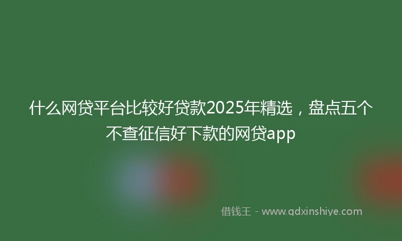 什么网贷平台比较好贷款2025年精选，盘点五个不查征信好下款的网贷app
