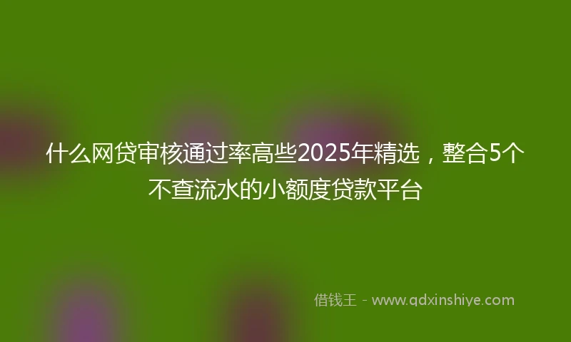 什么网贷审核通过率高些2025年精选，整合5个不查流水的小额度贷款平台
