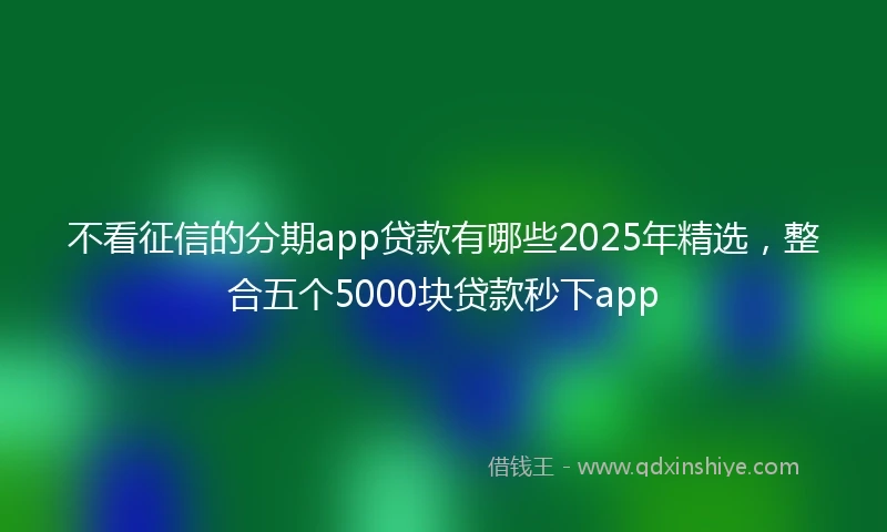 不看征信的分期app贷款有哪些2025年精选，整合五个5000块贷款秒下app