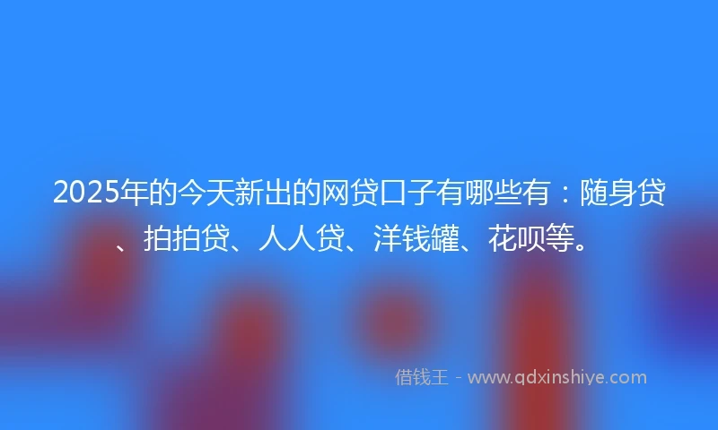 2025年的今天新出的网贷口子有哪些有：随身贷、拍拍贷、人人贷、洋钱罐、花呗等。