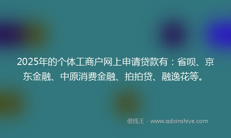 2025年的个体工商户网上申请贷款有：省呗、京东金融、中原消费金融、拍拍贷、融逸花等。
