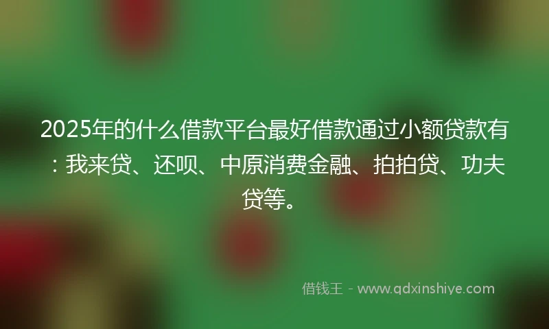 2025年的什么借款平台最好借款通过小额贷款有：我来贷、还呗、中原消费金融、拍拍贷、功夫贷等。