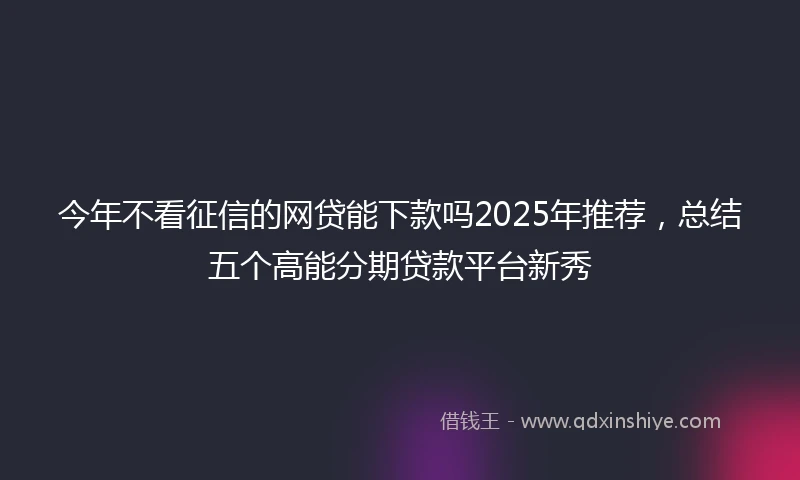 今年不看征信的网贷能下款吗2025年推荐，总结五个高能分期贷款平台新秀