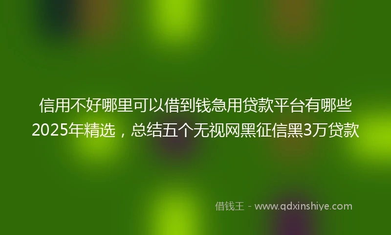 信用不好哪里可以借到钱急用贷款平台有哪些2025年精选，总结五个无视网黑征信黑3万贷款