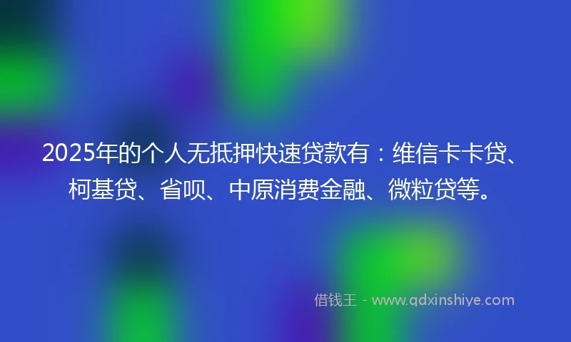 2025年的个人无抵押快速贷款有：维信卡卡贷、柯基贷、省呗、中原消费金融、微粒贷等。