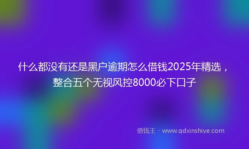 什么都没有还是黑户逾期怎么借钱2025年精选，整合五个无视风控8000必下口子