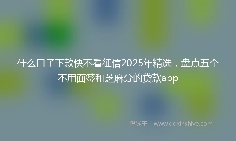 什么口子下款快不看征信2025年精选，盘点五个不用面签和芝麻分的贷款app