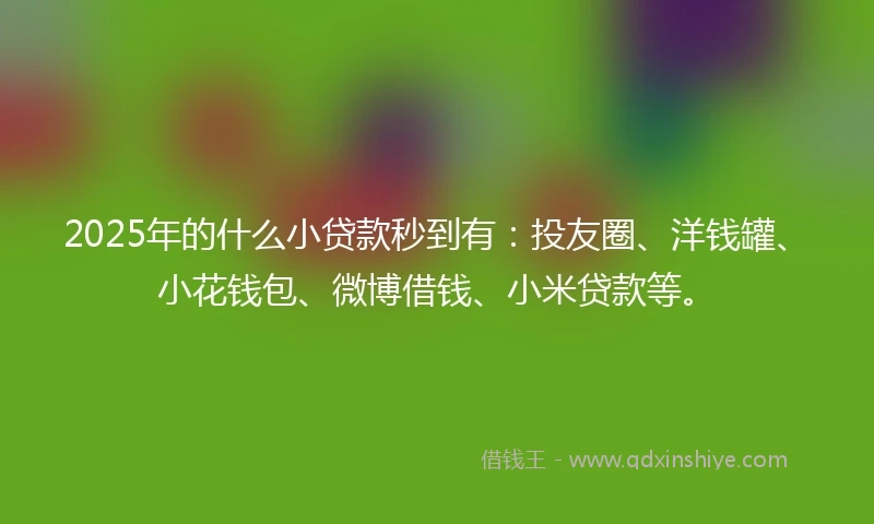 2025年的什么小贷款秒到有：投友圈、洋钱罐、小花钱包、微博借钱、小米贷款等。