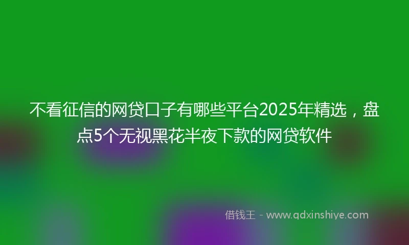 不看征信的网贷口子有哪些平台2025年精选，盘点5个无视黑花半夜下款的网贷软件
