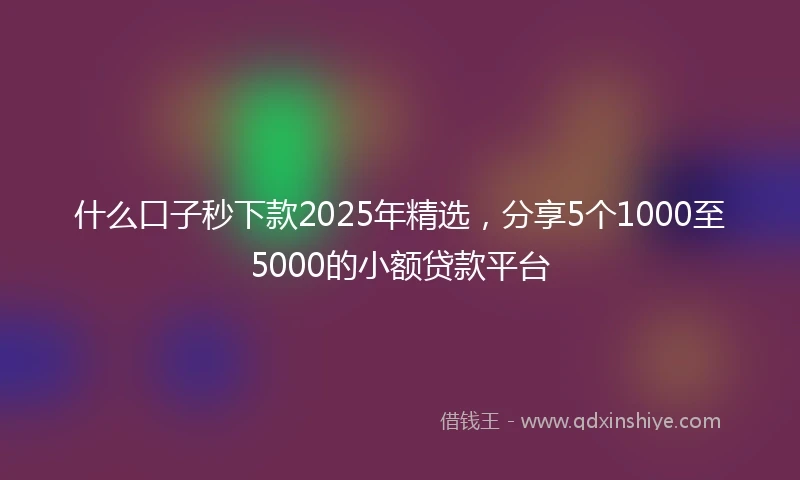 什么口子秒下款2025年精选，分享5个1000至5000的小额贷款平台