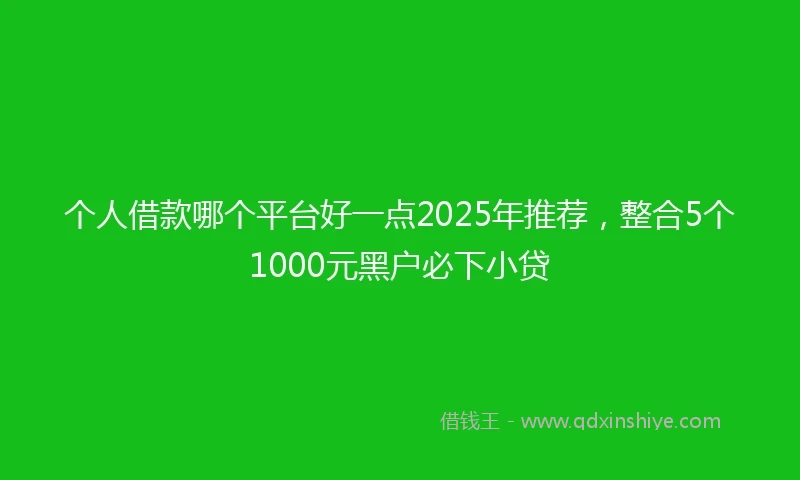 个人借款哪个平台好一点2025年推荐，整合5个1000元黑户必下小贷