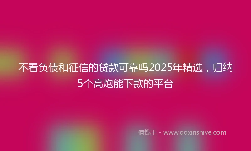 不看负债和征信的贷款可靠吗2025年精选，归纳5个高炮能下款的平台