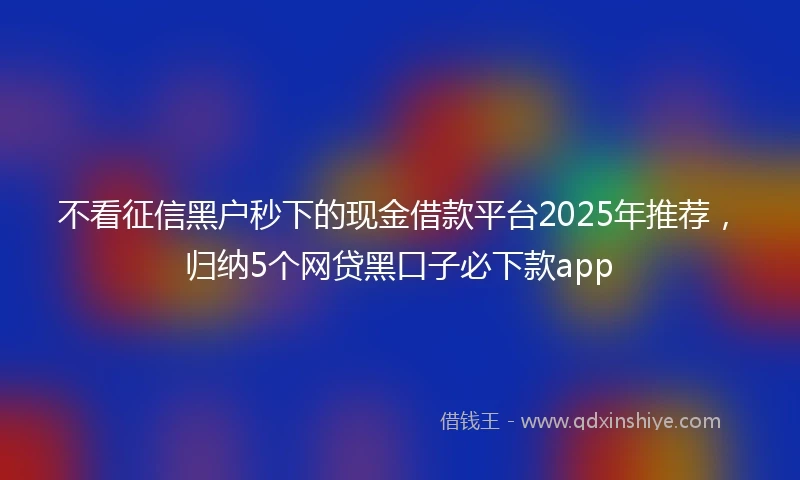 不看征信黑户秒下的现金借款平台2025年推荐，归纳5个网贷黑口子必下款app