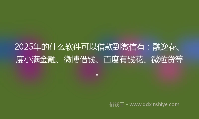 2025年的什么软件可以借款到微信有：融逸花、度小满金融、微博借钱、百度有钱花、微粒贷等。