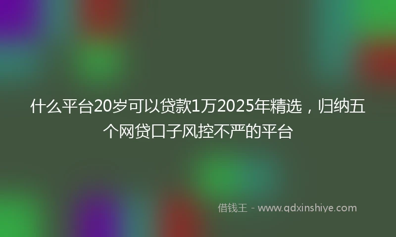 什么平台20岁可以贷款1万2025年精选，归纳五个网贷口子风控不严的平台