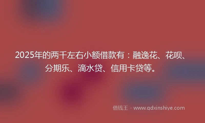 2025年的两千左右小额借款有：融逸花、花呗、分期乐、滴水贷、信用卡贷等。