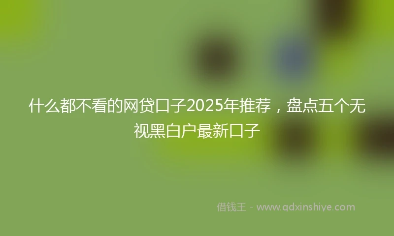什么都不看的网贷口子2025年推荐，盘点五个无视黑白户最新口子