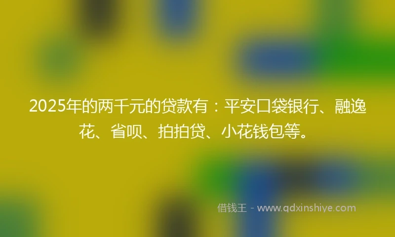2025年的两千元的贷款有:平安口袋银行、融逸花、省呗、拍拍贷、小花钱包等。