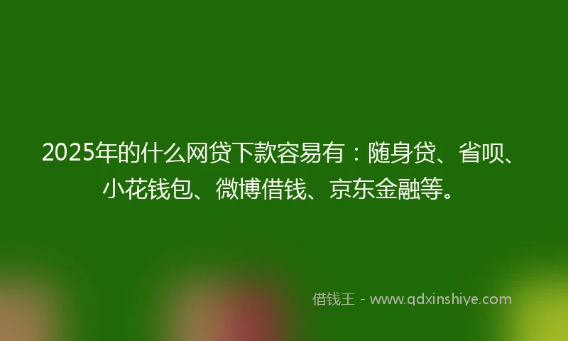 2025年的什么网贷下款容易有：随身贷、省呗、小花钱包、微博借钱、京东金融等。