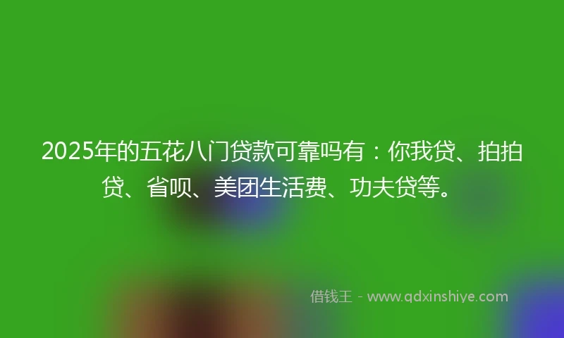 2025年的五花八门贷款可靠吗有：你我贷、拍拍贷、省呗、美团生活费、功夫贷等。