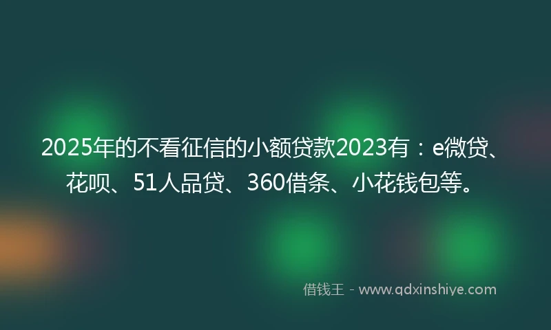 2025年的不看征信的小额贷款2023有：e微贷、花呗、51人品贷、360借条、小花钱包等。