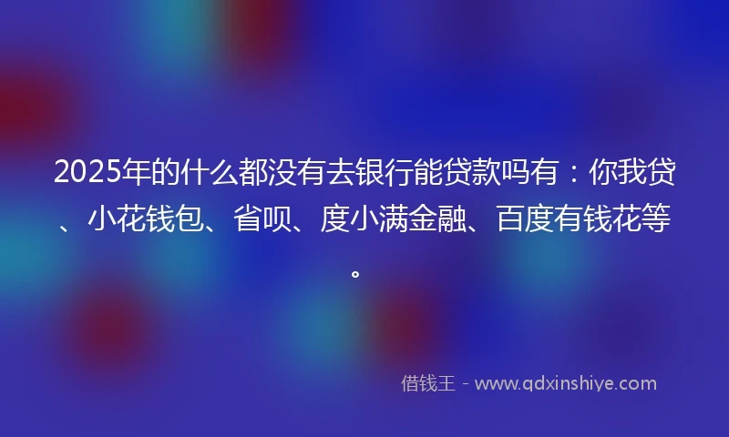 2025年的什么都没有去银行能贷款吗有：你我贷、小花钱包、省呗、度小满金融、百度有钱花等。