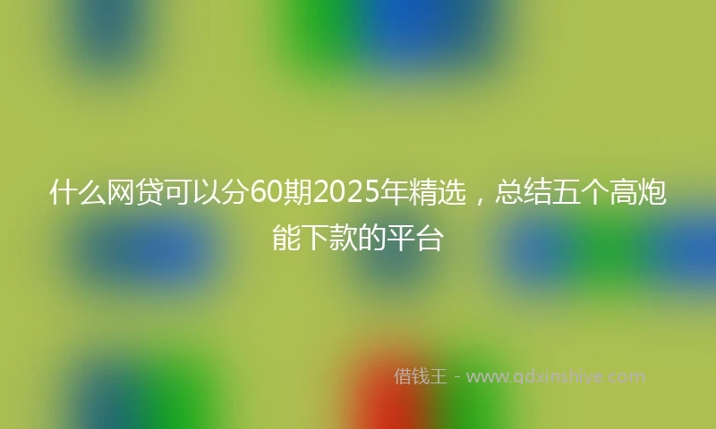 什么网贷可以分60期2025年精选，总结五个高炮能下款的平台