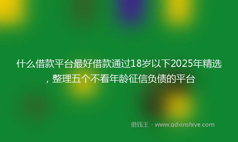 什么借款平台最好借款通过18岁以下2025年精选，整理五个不看年龄征信负债的平台